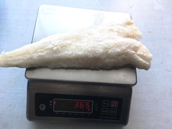 Atlantic cod Skin On Fillet PBI