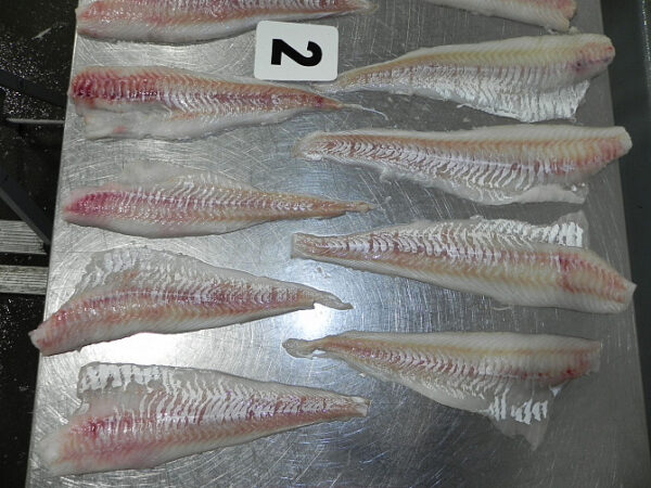 Atlantic cod Skinless Fillet PBI