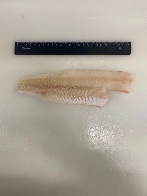 Atlantic cod skinless fillet PBO