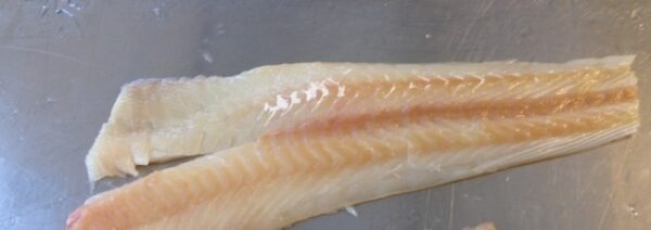 Atlantic cod skinless fillet PBO