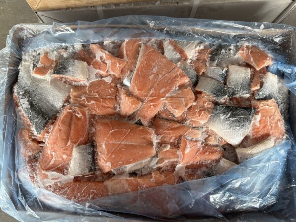 Frozen Salmon chunks