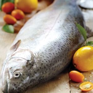 Atlantic salmon whole