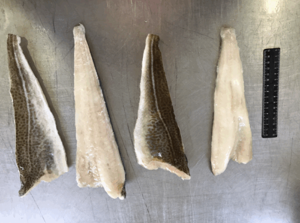 Atlantic cod Skin On Fillet PBI - Image 2