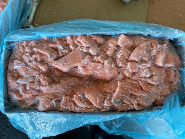Frozen Salmon Bits & Pieces Skin Off - Image 2