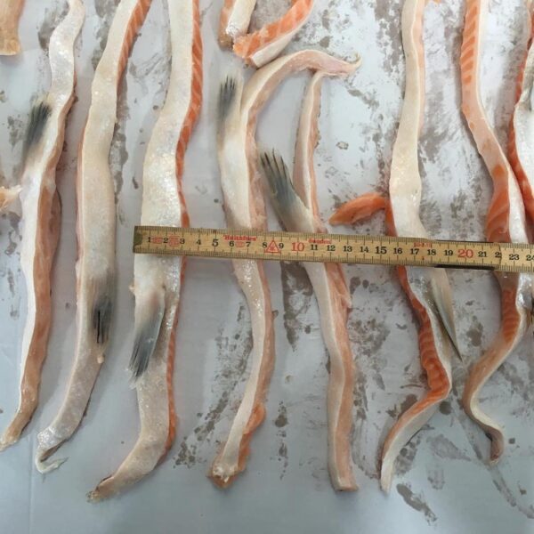 Salmon Belly - Image 2
