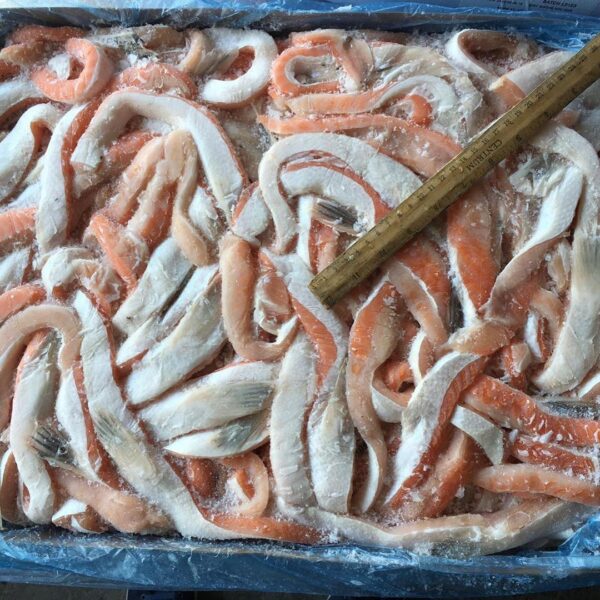 Salmon Belly - Image 3