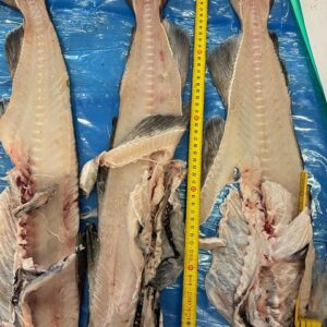 Cod Backbones