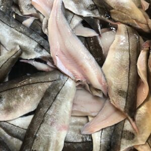 Haddock fillet skin on