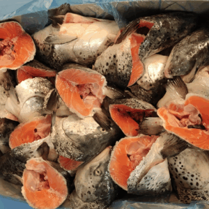 Salmon Head V- Cut