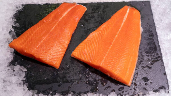 Frozen Salmon Tails Portion