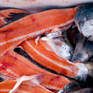 Salmon Backbones